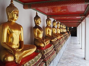 Murrurundi to Matino