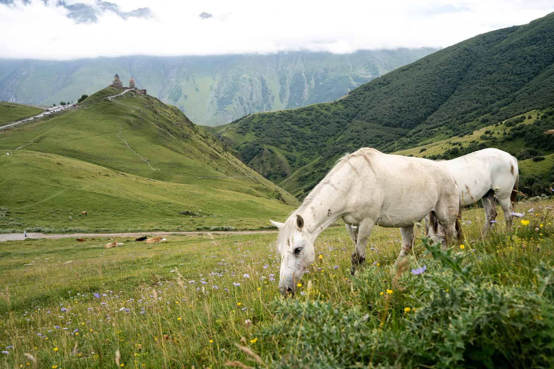 A view of Gergeti Trinity Church in Kazbegi, Georgia.