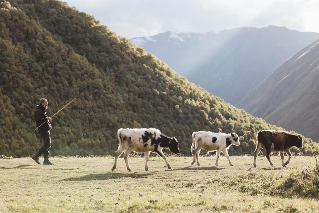 The Kazbegi region, Georgia.