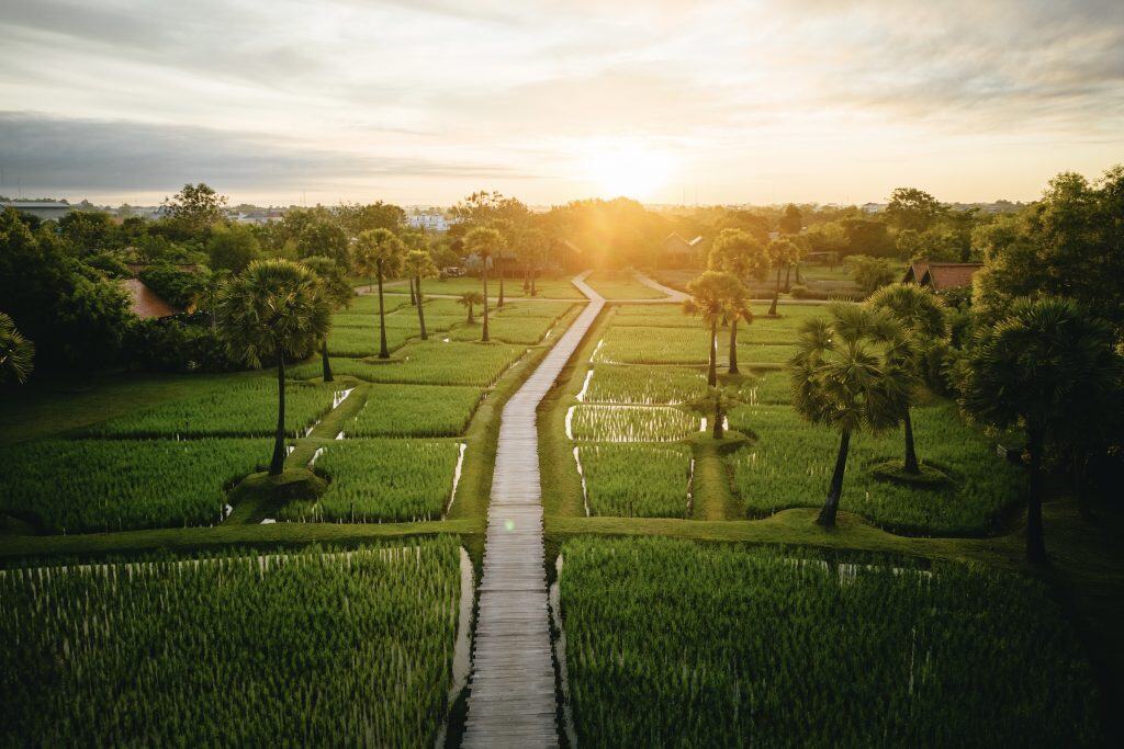 Zannier Phum Baitang Zannier Phum Baitang is centred around 20 acres of rice paddies, just outside of Siem Reap.