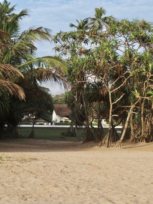 The Villa Bentota The Villa Bentota, Sri Lanka.