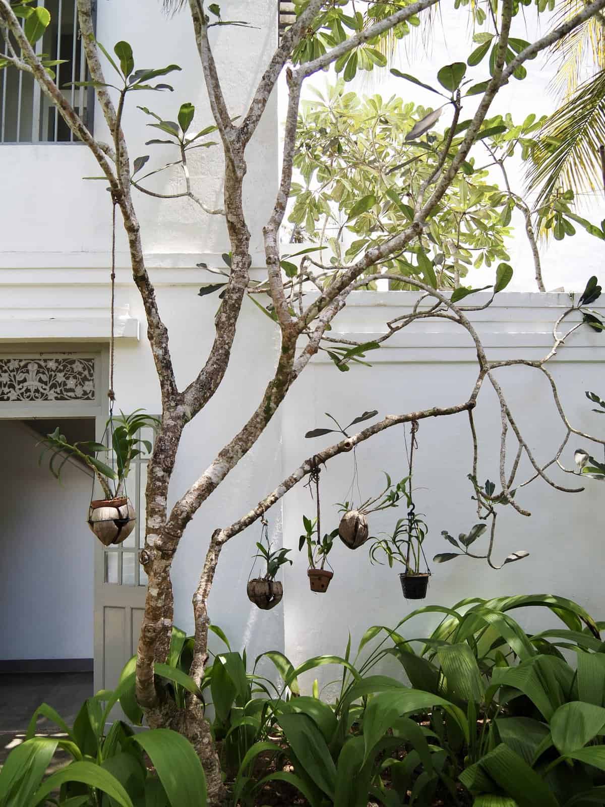 The Villa Bentota The Villa Bentota blends Dutch colonial and vernacular influences on the west coast of Sri Lanka.