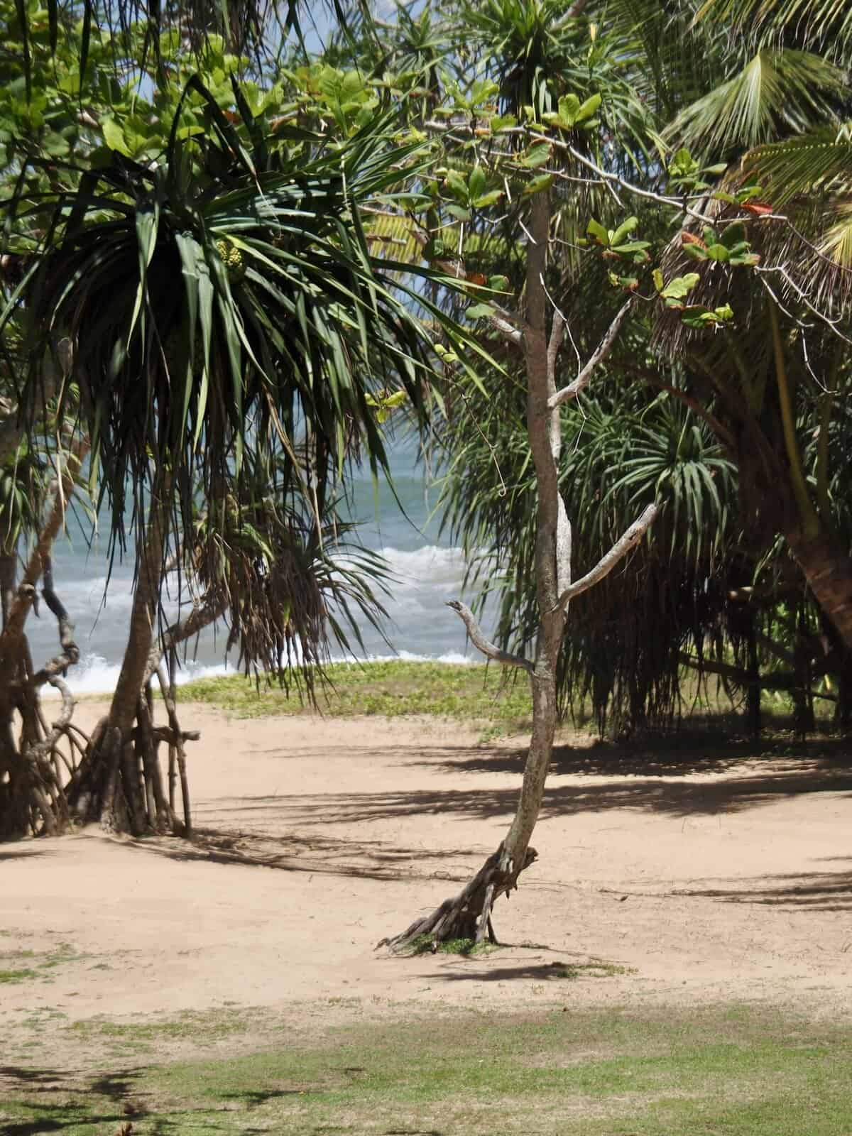 The Villa Bentota Bentota Beach, Sri Lanka.