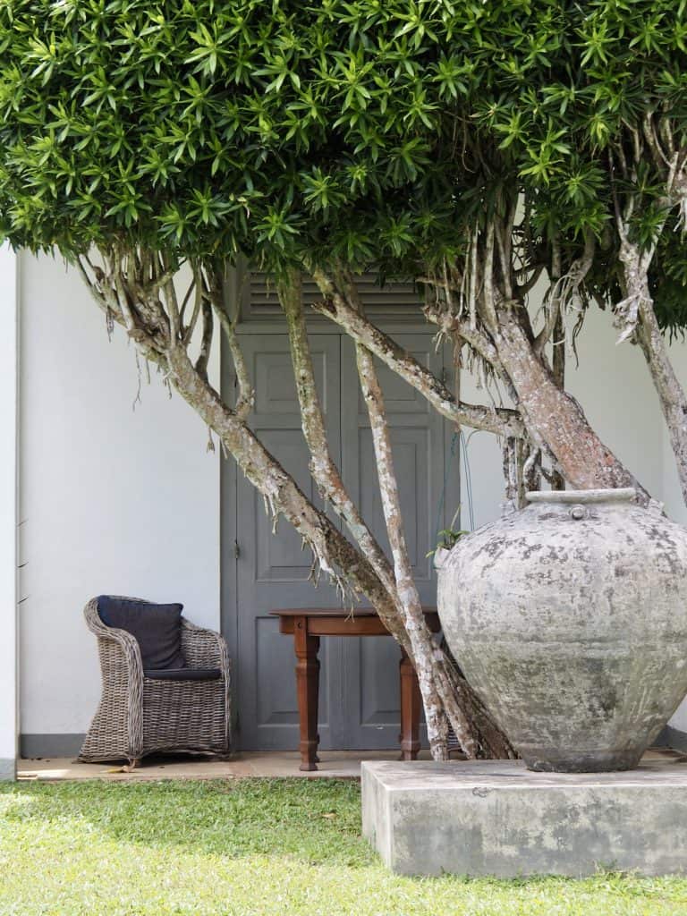 The Villa Bentota Terrace of a Standard Room, The Villa Bentota.
