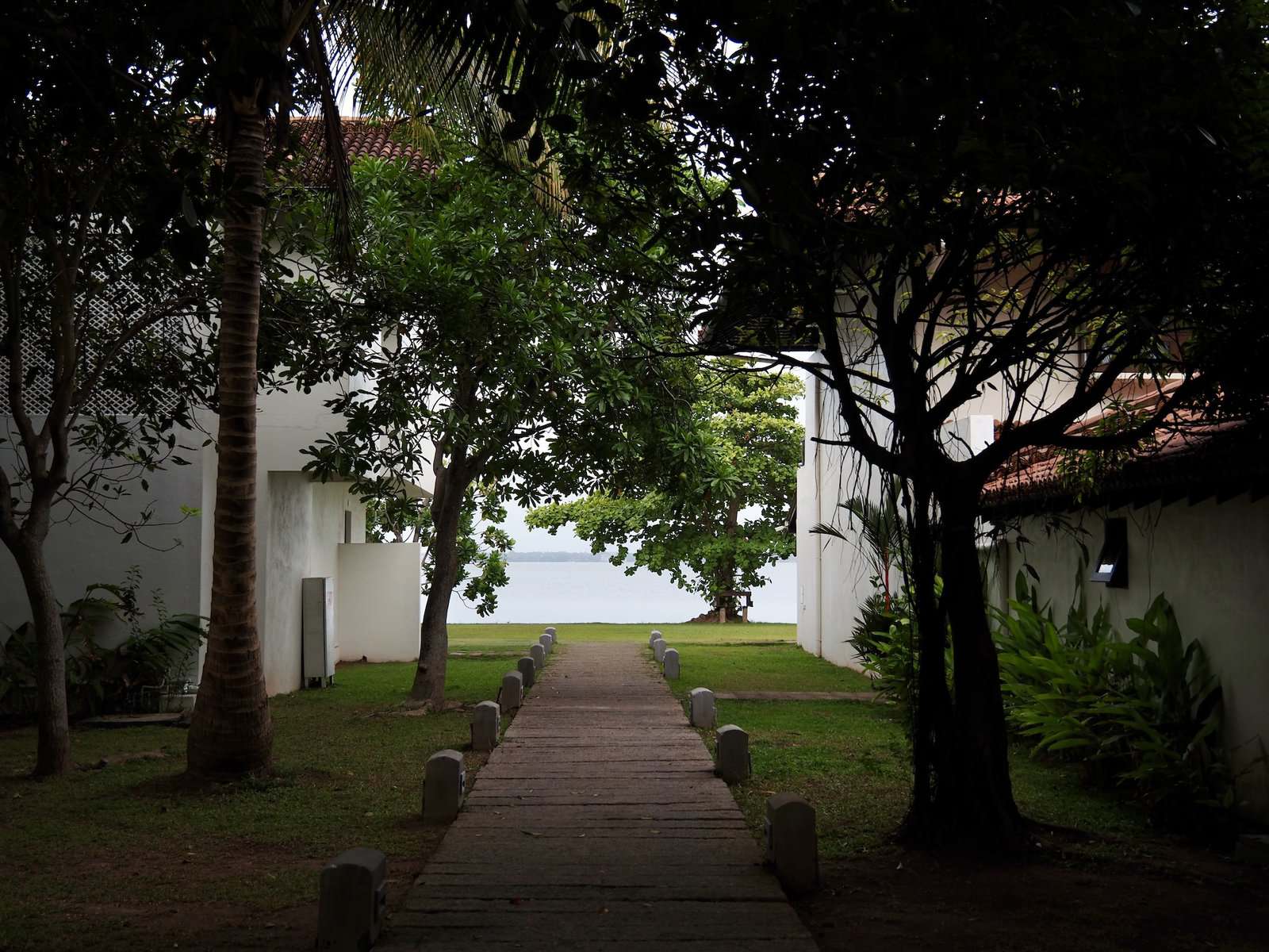 Negombo Lagoon, Sri Lanka.