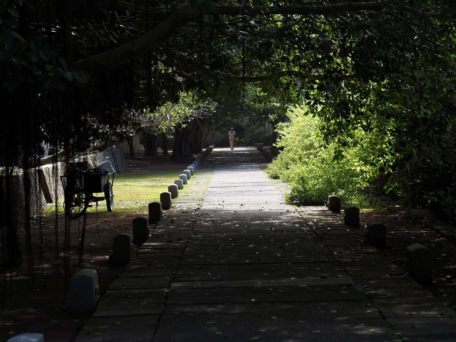 Garden path, Jetwing Lagoon Wellness, Negombo.