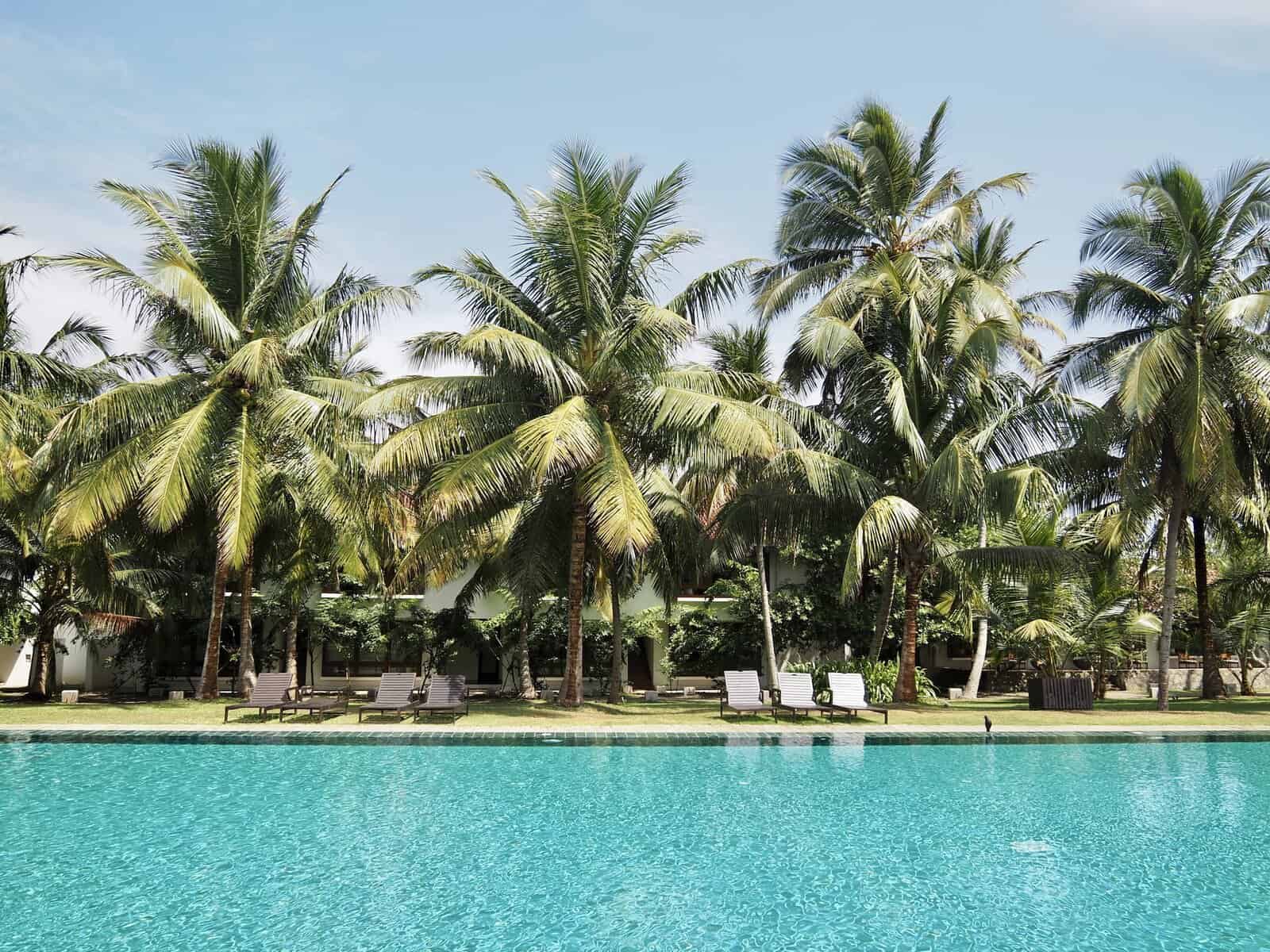 Jetwing Lagoon Wellness features the longest swimming pool in Sri Lanka.
