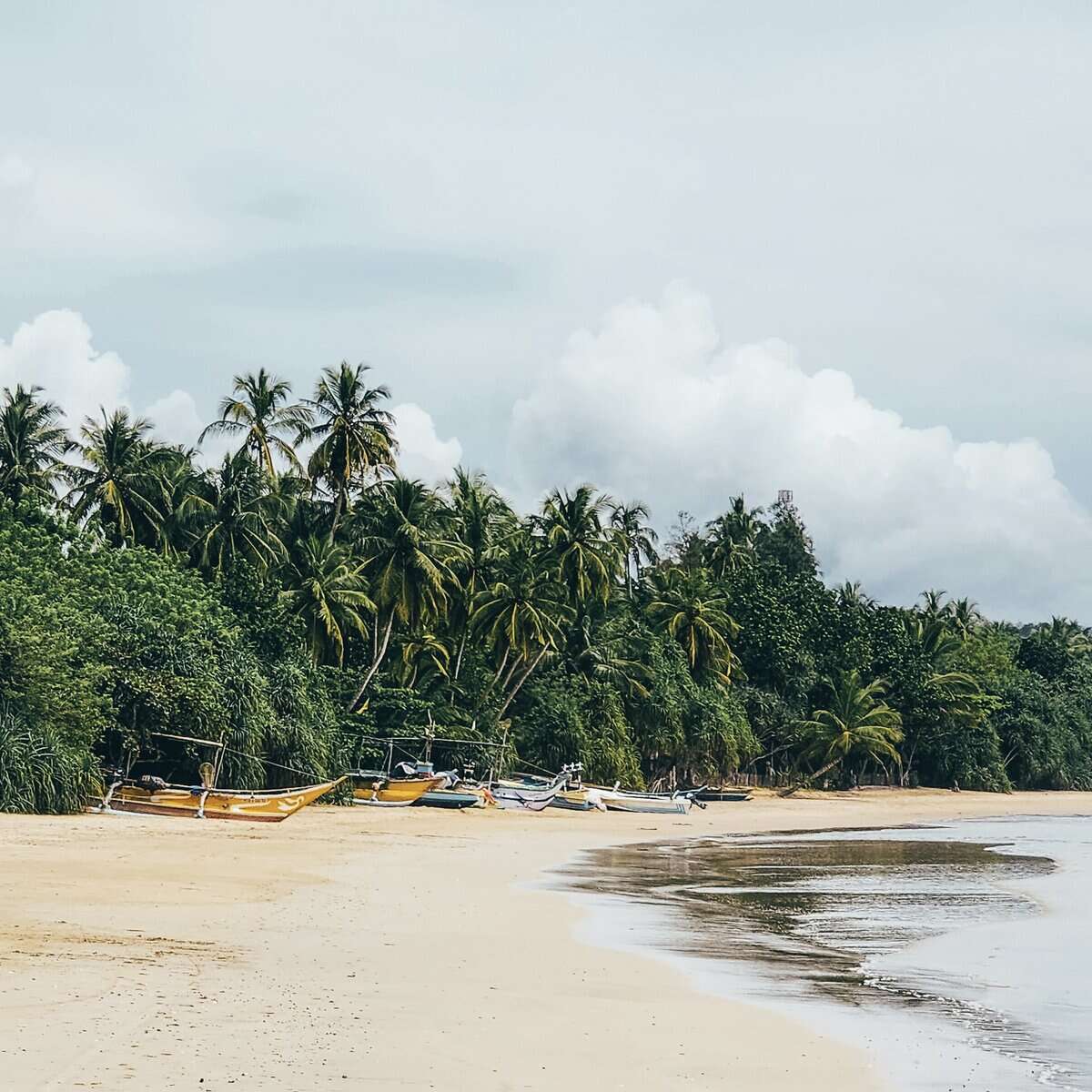 outrigger fishing boats on Mawella Beach, Sri Lanka.