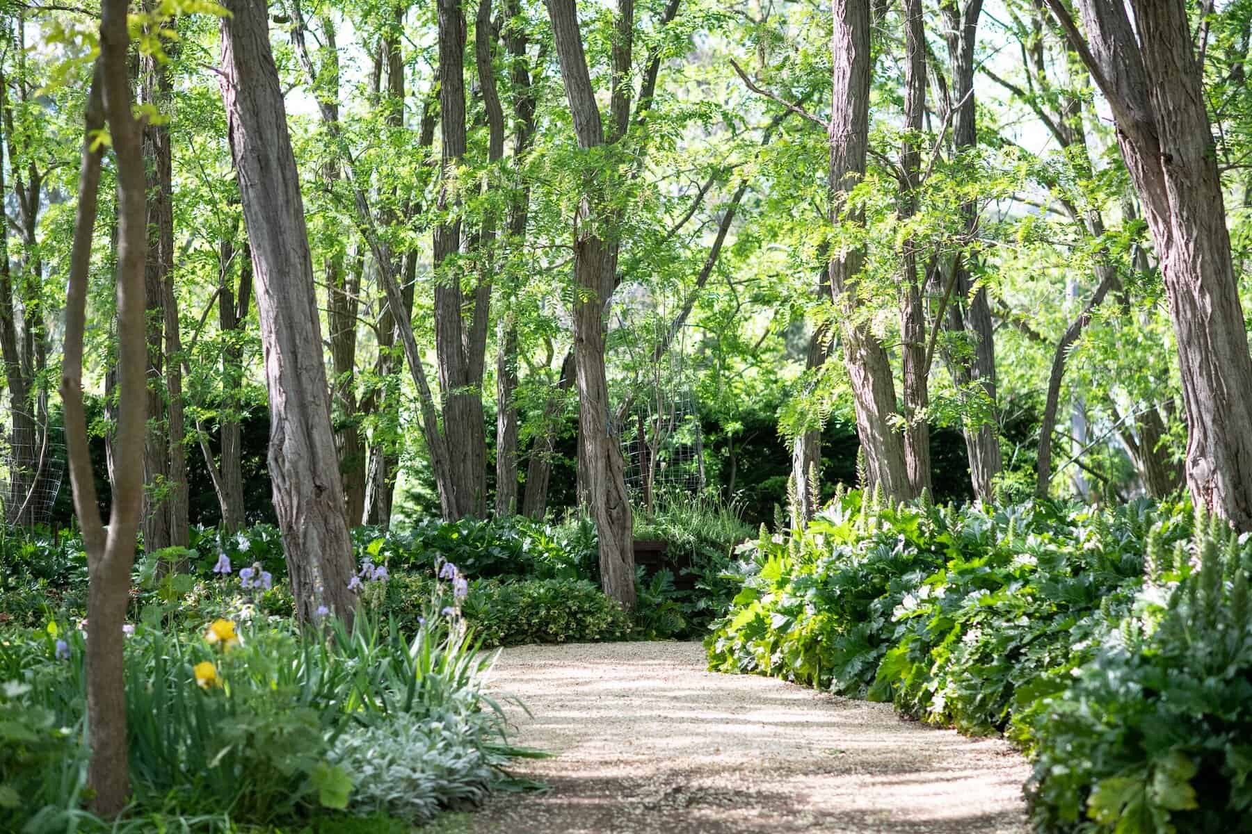 The verdant entrance to Michael Reid Murrurundi, home to an art gallery, concept store and kiosk.