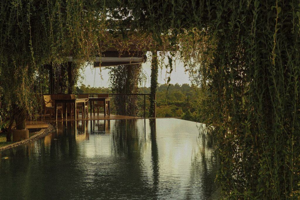 Curved 18-metre infinity pool, Trebartha East:The Roundhouse.