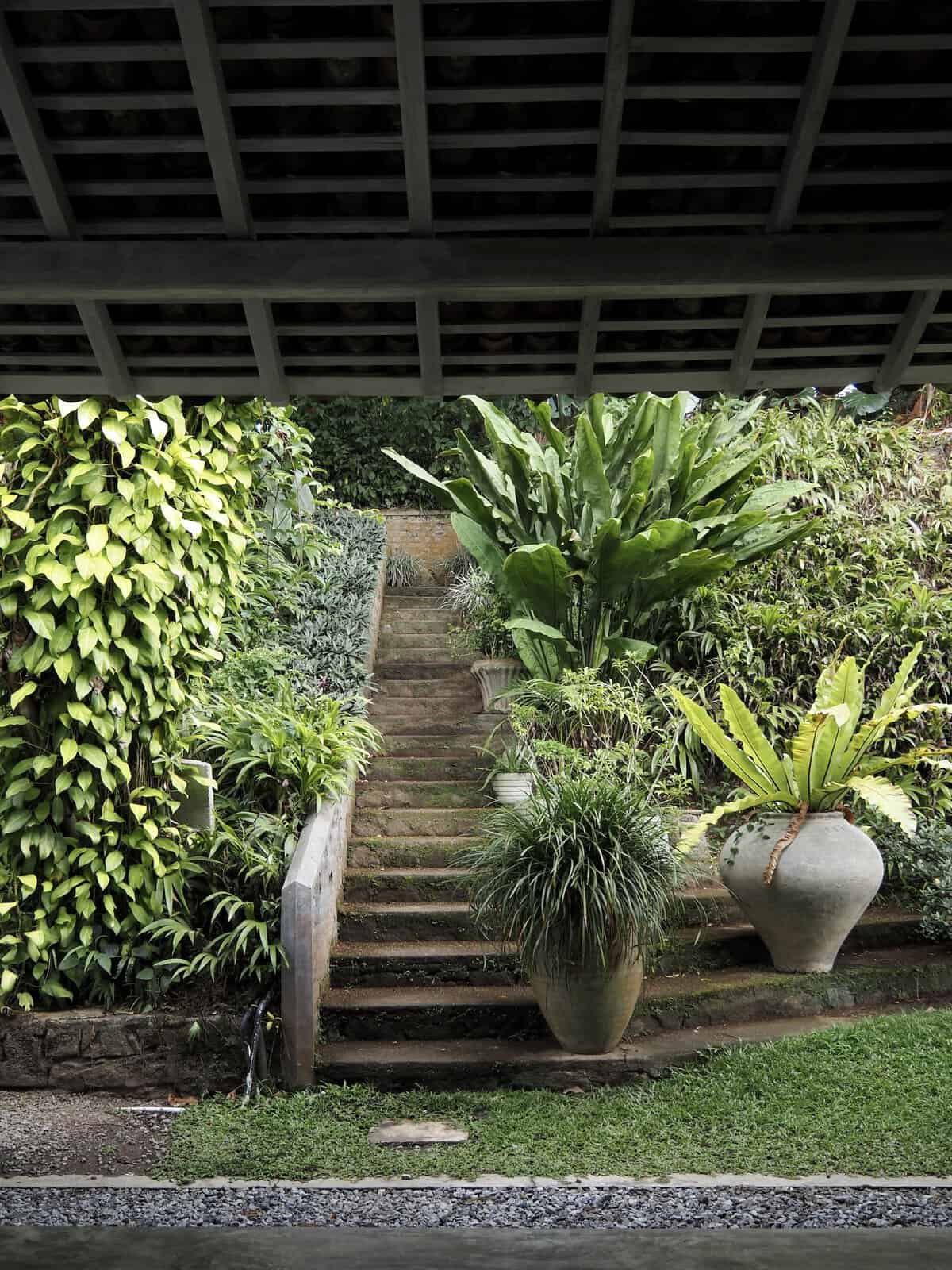 Adigar's Manor Tropical garden, Adigar's Manor boutique hotel near Kandy, Sri Lanka.