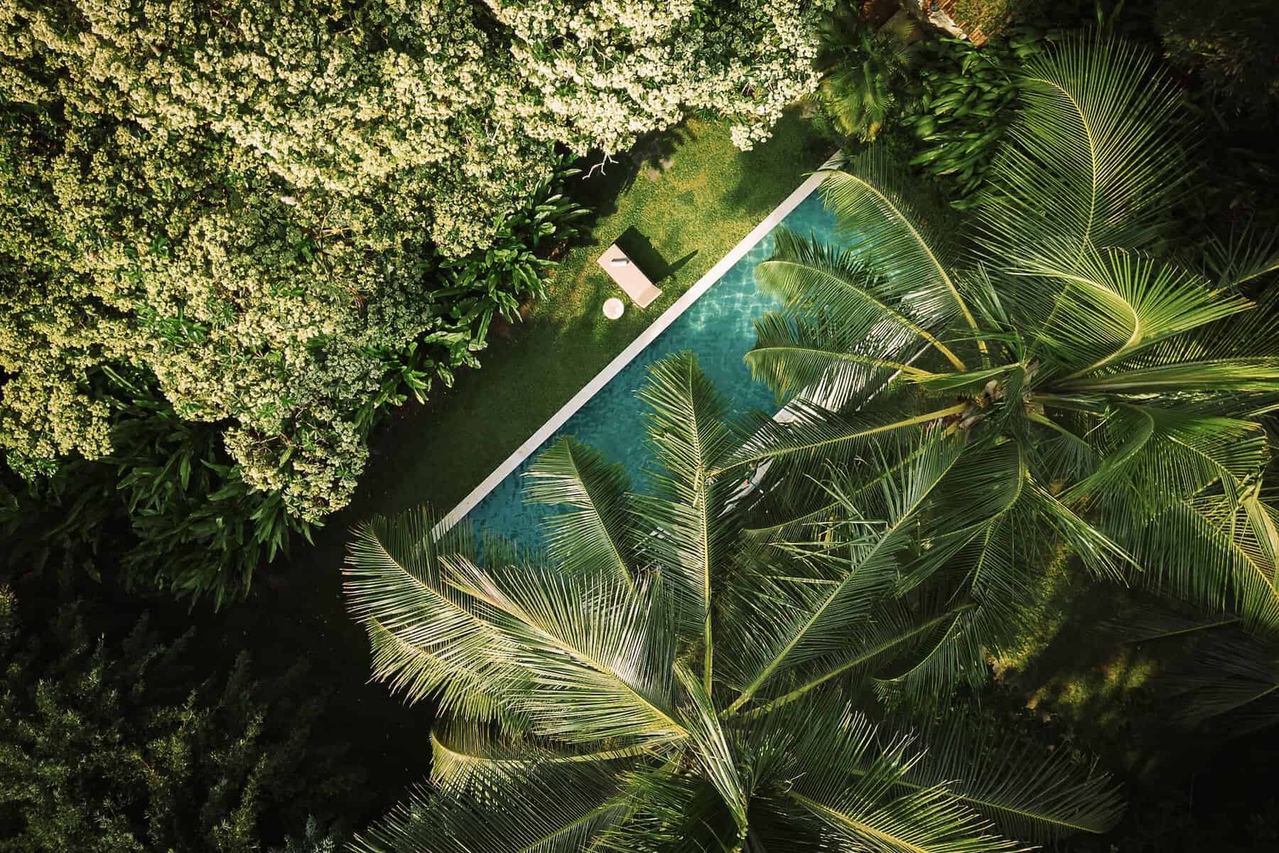 Kurulu Bay. Swimming pool surrounded by dense tropical foliage at Kurulu Bay hotel, Sri Lanka.