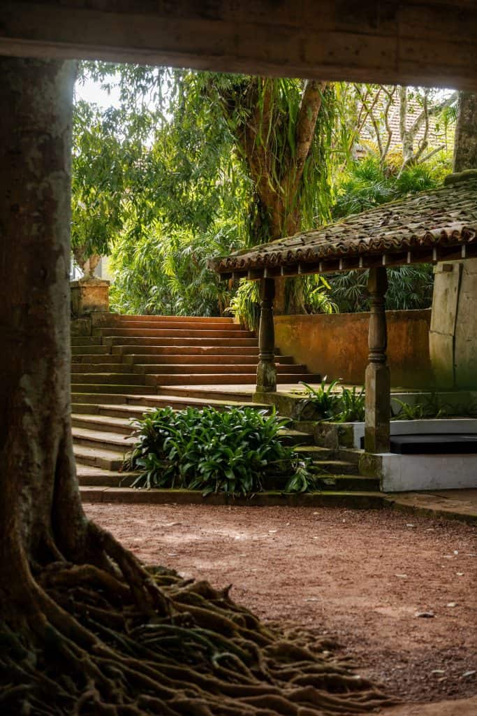 Lunuganga. The roots of an ancient banyan tree, loggia and steps beyond, at Geoffrey Bawa's country estate Lunuganga.