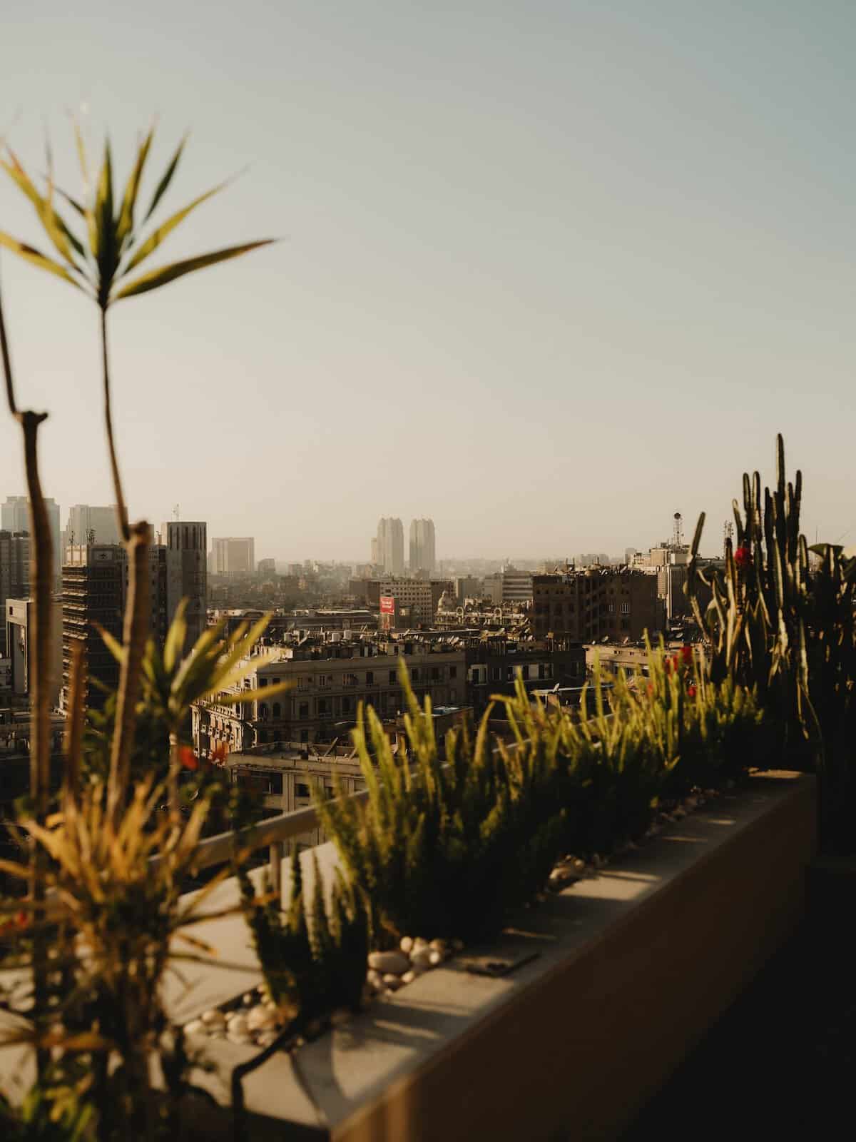 The rooftops of Downtown Cairo, aka Khedival Cairo, from the terrace of Embassy Apartment, Immobilia.