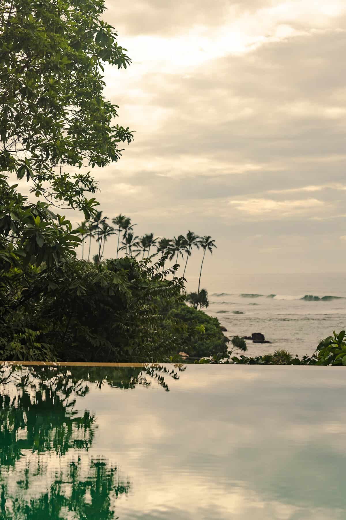 tropical studio ©-08581