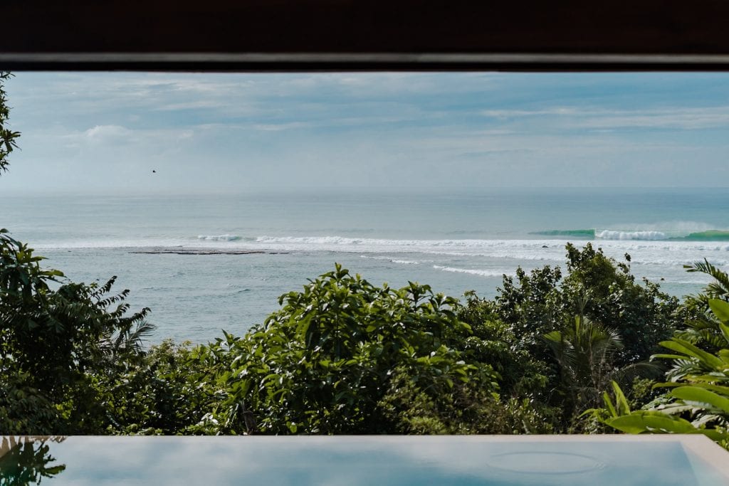 tropical studio ©-08667