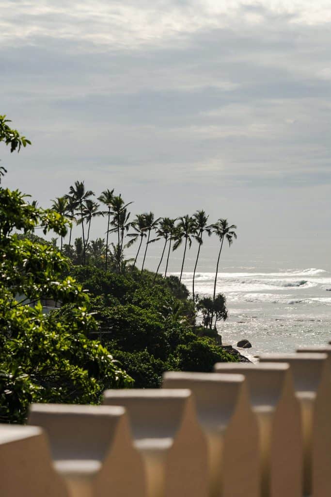tropical studio ©-08898