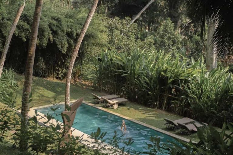 A swimming pool surrounded by tall and slender palm trees at lakeside retreat, Kurulu Bay.