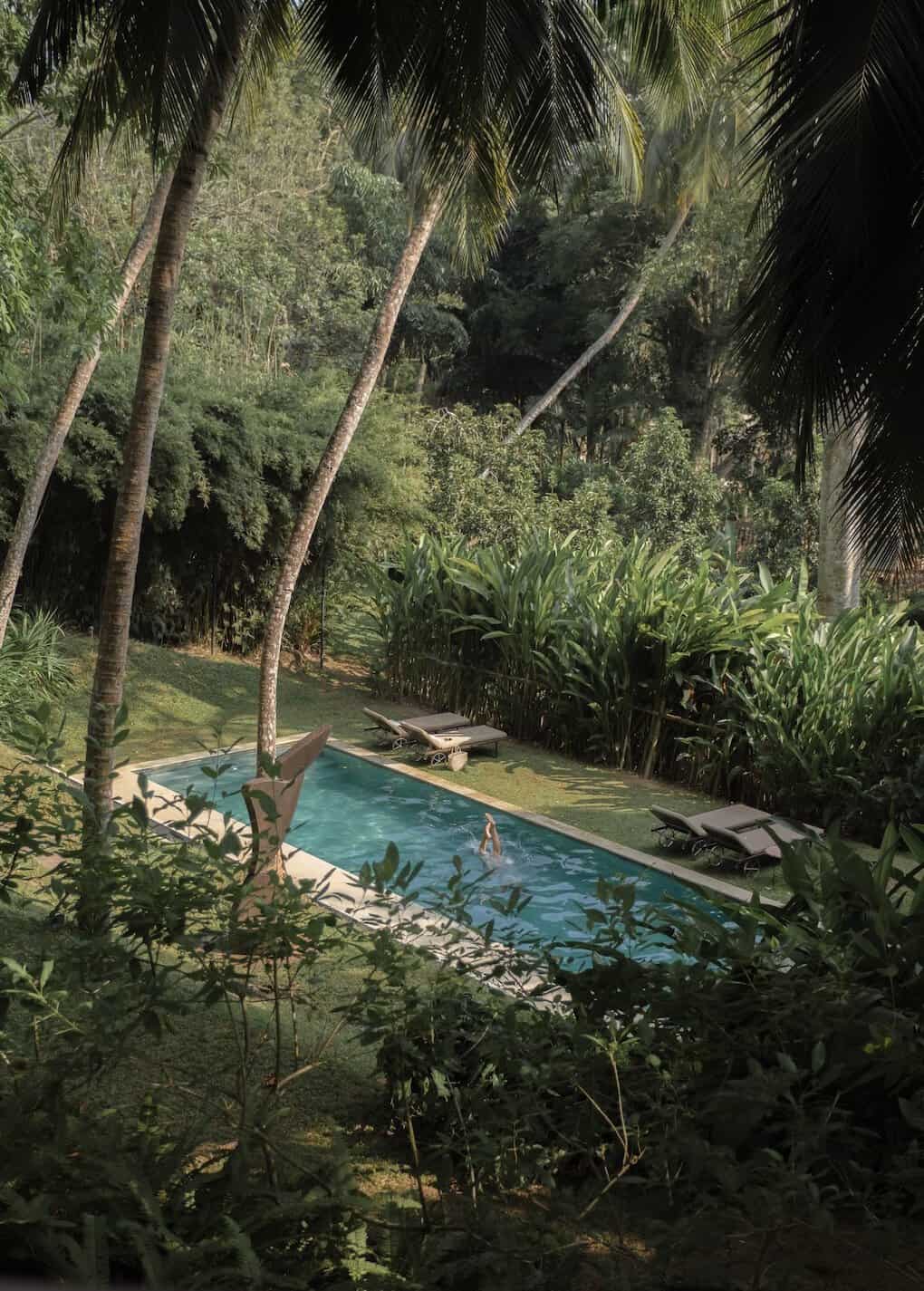 A swimming pool surrounded by tall and slender palm trees at lakeside retreat, Kurulu Bay.